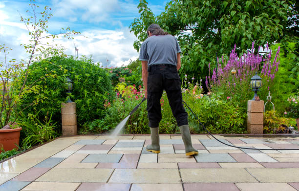 Best Sidewalk and Walkway Cleaning  in Wrightsville, AR